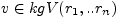 $ v\in kgV(r_{1},..r_{n})$