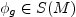 $ \phi_{g}\in S(M)$